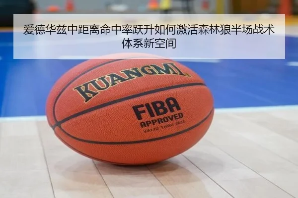 爱德华兹中距离命中率跃升如何激活森林狼半场战术体系新空间